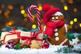 Merry Christmas from all of us! Here’s to a season of love and harmony..